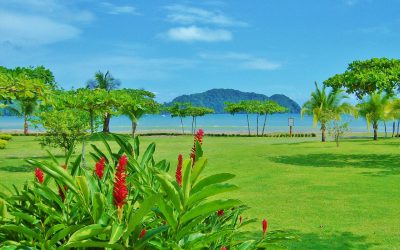 Costa Rica (Playa)
